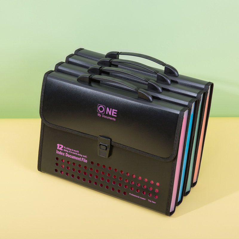 Dosar acordeon A4 cu 13 buzunare FC, capacitate mare pentru documente și partituri