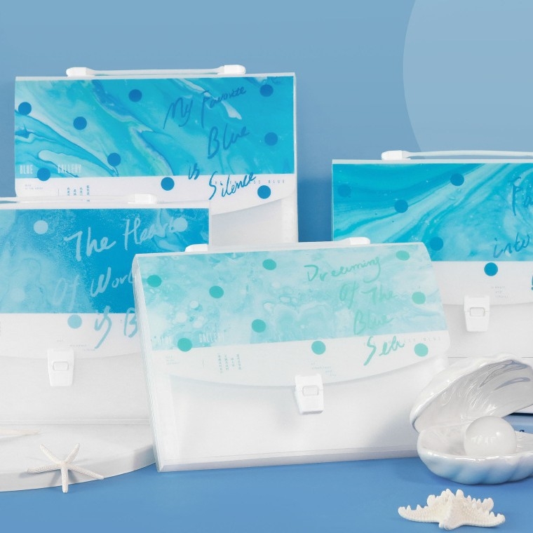 Geantă-acordeon din plastic, A4, 13 compartimente, serie pictură în ulei, organizator pentru documente și fișe de teste