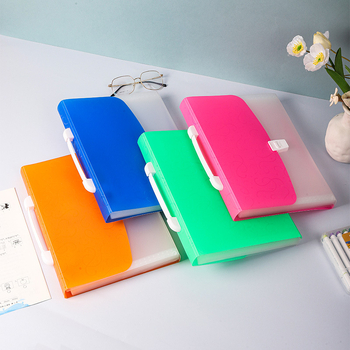 Organizator portabil de tip acordeon A4, 13 compartimente pentru documente