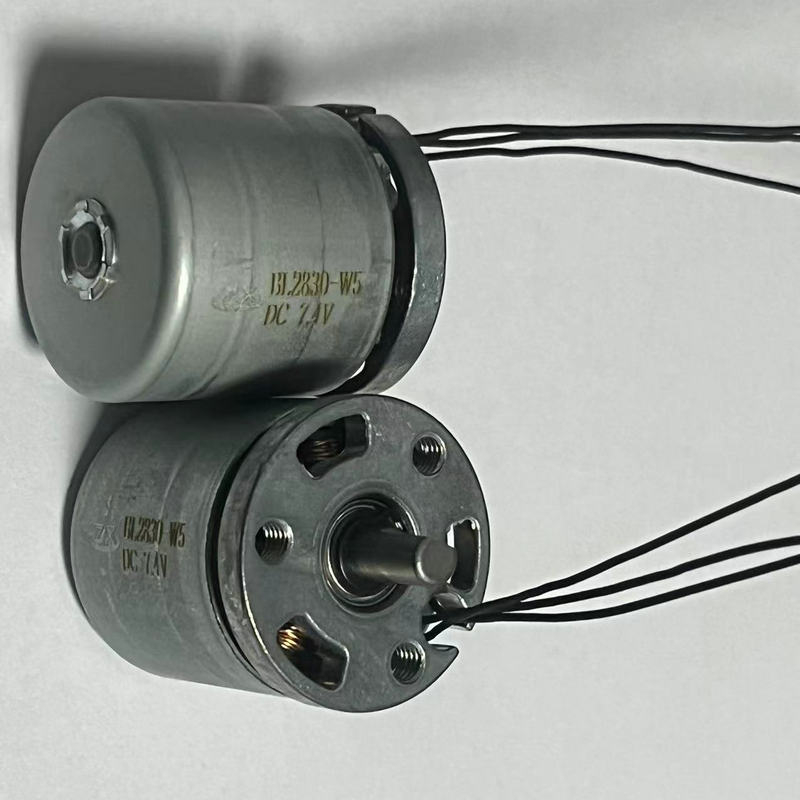 Fasijalni masažni uređaj s brushless DC motorom, kompaktni električni masažer, mikro motor, seksualna igračka
