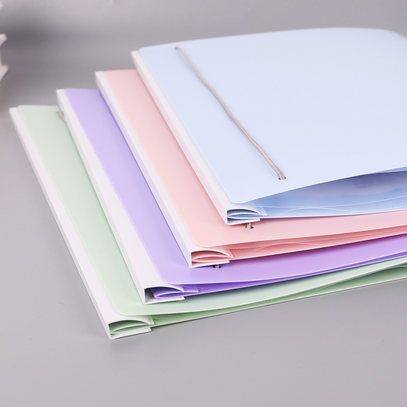 Clip A3 cu braț rotativ, transparent, multicolor, pentru documente și foi de examen