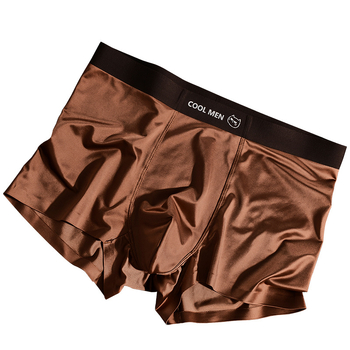 Nova muška donja od Ice Silk, luksuzan satin, boxer briefs s antibakterijskom podstavom od Mulberry svile, mladenački stil