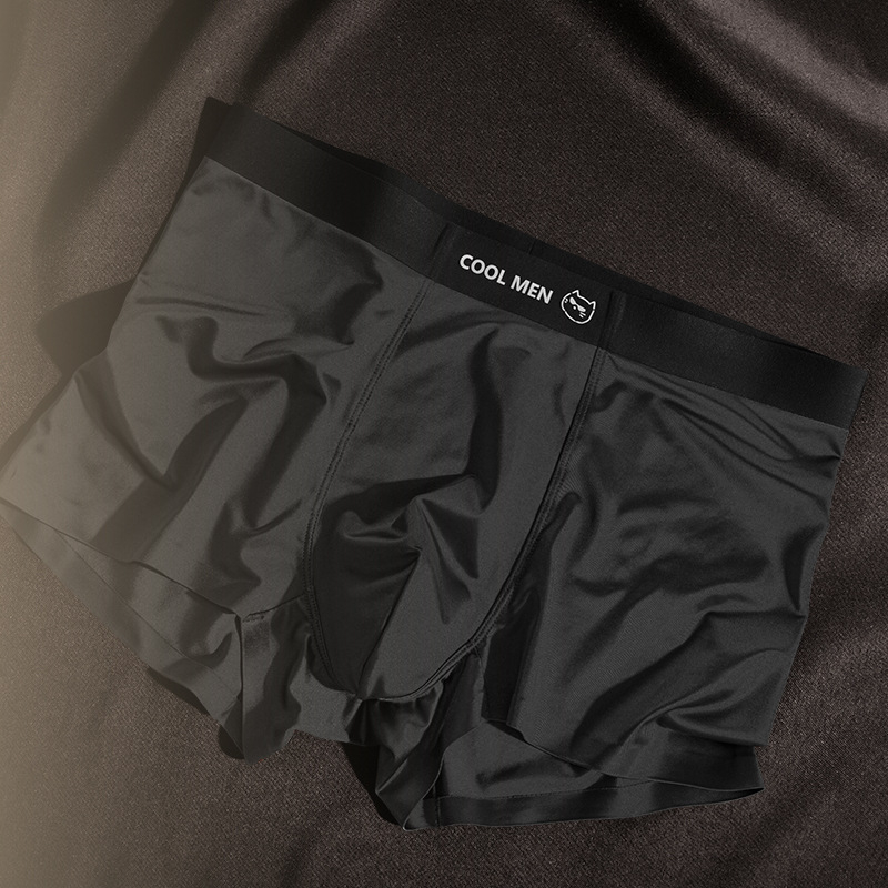 Nova muška donja od Ice Silk, luksuzan satin, boxer briefs s antibakterijskom podstavom od Mulberry svile, mladenački stil