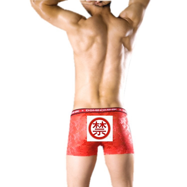 Dominik 3008 Muške mrežaste boxerice, prozračne, velike veličine