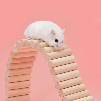 Drveni set za hamstera: mali ograda, penjačke stepenice, lukasti most za zlatog hrčka i mekana ljestvicu.