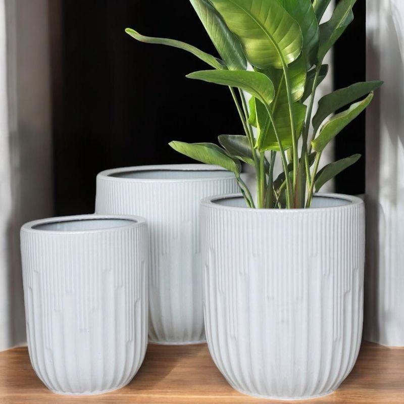 Ghiveci ceramic cu diametru mare pentru Dragon Blood Tree și Happiness Tree, potrivit pentru sufragerie și balcon