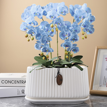 Ghiveci ceramic în stil nordic, oval, cu deschidere mare, pentru copacul banilor și pothos, pentru interior și exterior