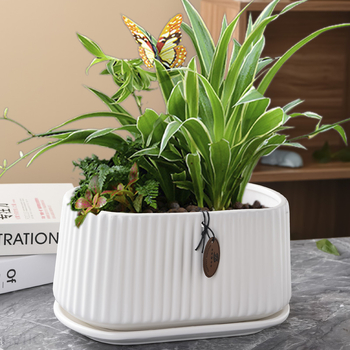 Ghiveci ceramic în stil nordic, oval, cu deschidere mare, pentru copacul banilor și pothos, pentru interior și exterior