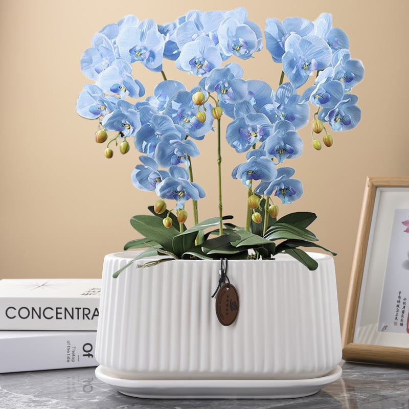 Ghiveci ceramic în stil nordic, oval, cu deschidere mare, pentru copacul banilor și pothos, pentru interior și exterior