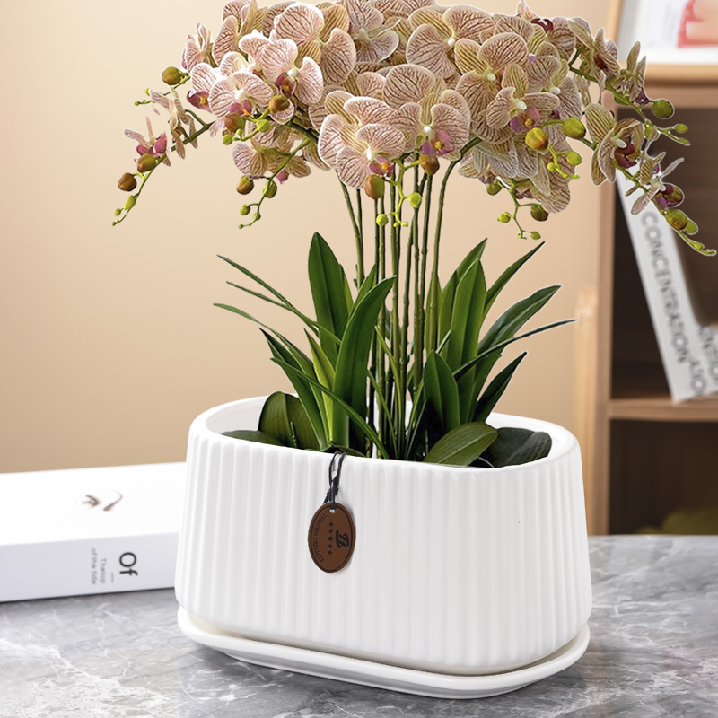 Ghiveci ceramic în stil nordic, oval, cu deschidere mare, pentru copacul banilor și pothos, pentru interior și exterior