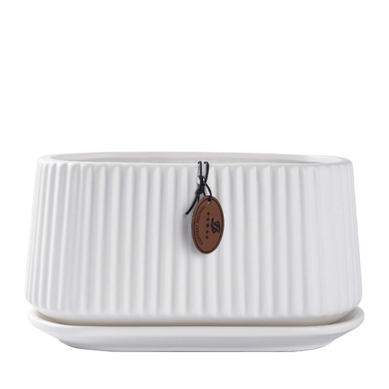 Ghiveci ceramic în stil nordic, oval, cu deschidere mare, pentru copacul banilor și pothos, pentru interior și exterior