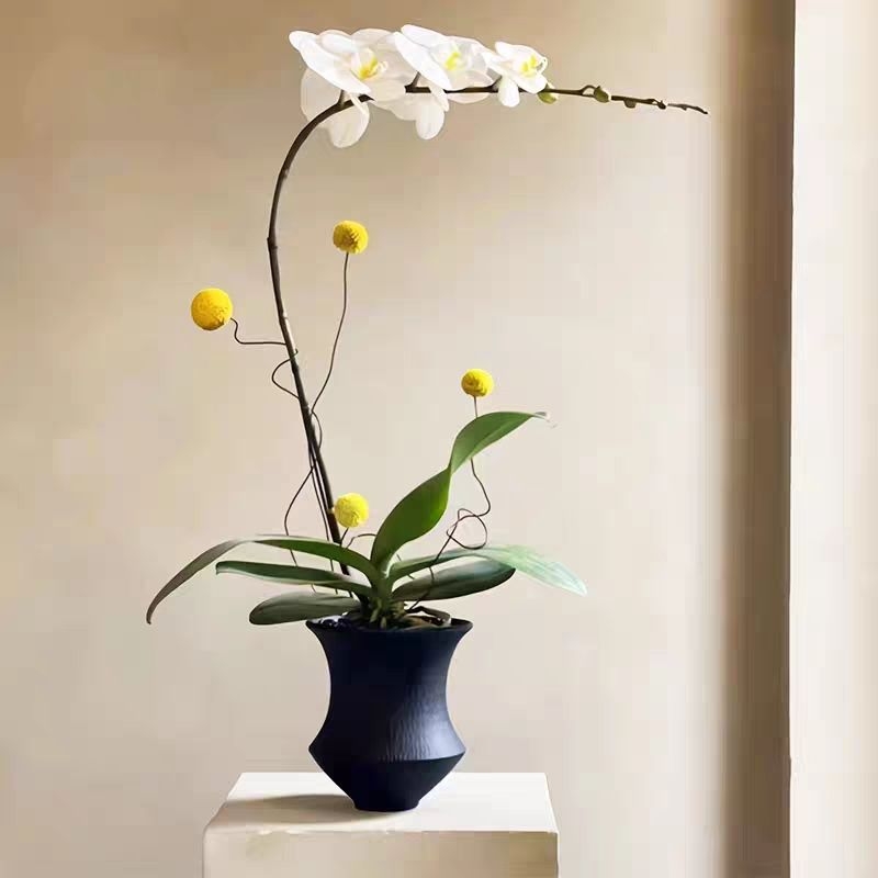 Ghiveci ceramic pentru orchidă, stil Nordic, de înaltă calitate, pentru birou de acasă
