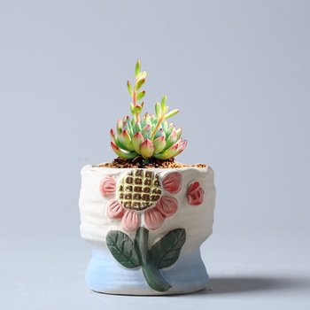 Ghiveci ceramic în formă de ciupercă pentru suculente, stil pastoral, pentru masă