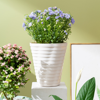 Ghiveci plastic auto-udare pentru pothos și suculente, stil clasic retro, construcție îngroșată, disponibil în dimensiuni mici și mari, pentru balcon