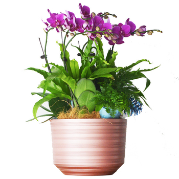 Ghiveci din rășină pentru Phalaenopsis, mare, cu bază – pentru birou sau podea
