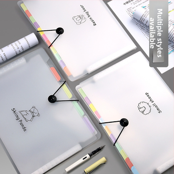 Dosar A4 PP transparent, personalizat, pentru documente și lucrări de examen