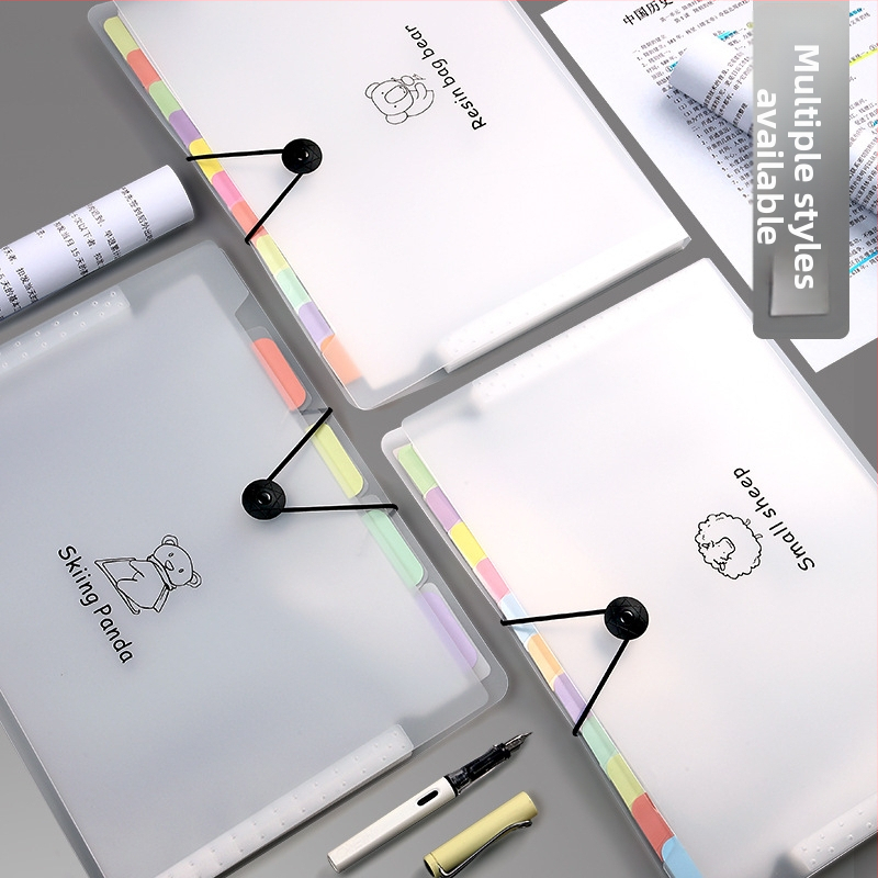 Dosar A4 PP transparent, personalizat, pentru documente și lucrări de examen