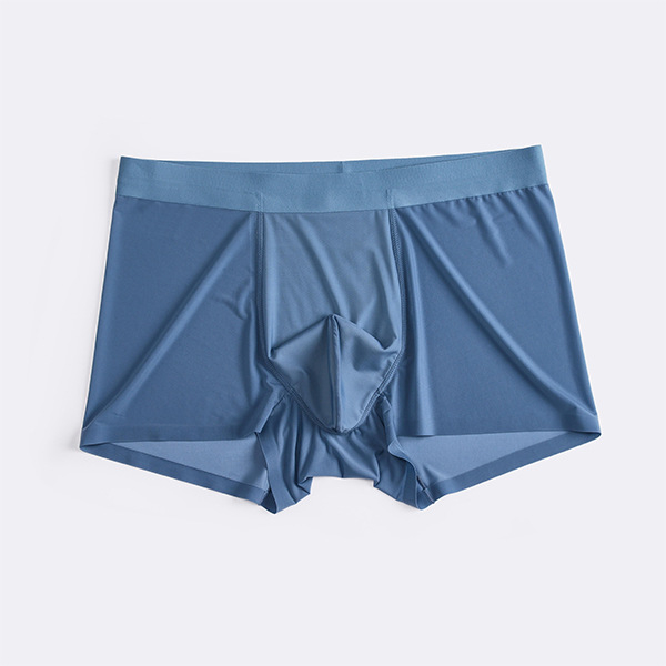 5XL besprijekorne muške bokserice za ljeto, Ice Silk tkanina, prozirni mrežasti dizajn, ultra tanke, dišuće