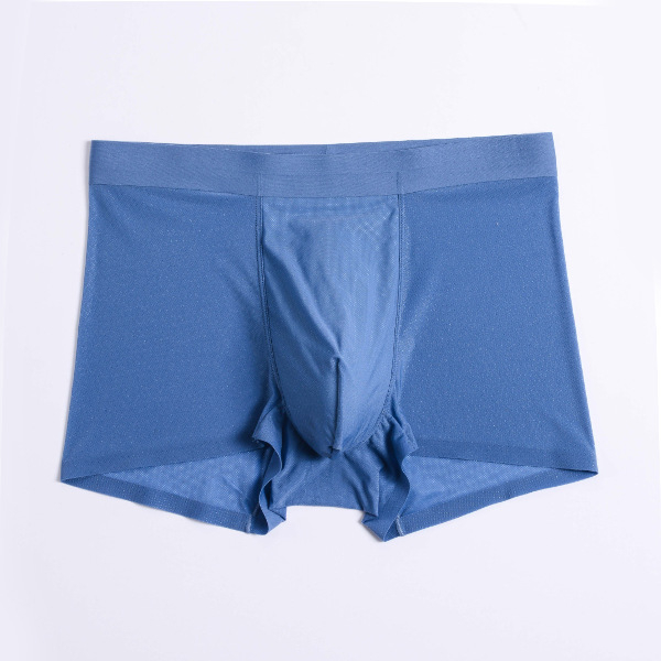 5XL besprijekorne muške bokserice za ljeto, Ice Silk tkanina, prozirni mrežasti dizajn, ultra tanke, dišuće