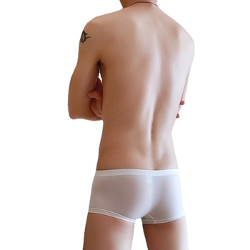 Muške boxerice od ice silk najlona, izrazito tanke, niska linija, proziran dizajn, moderan euro-američki stil