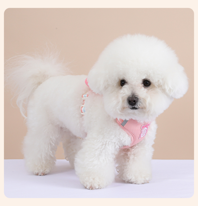 Nova šetnja za pse s mašnicom i vestom te vodilicom za Shiba Inu, Bichon i Toy Pudl