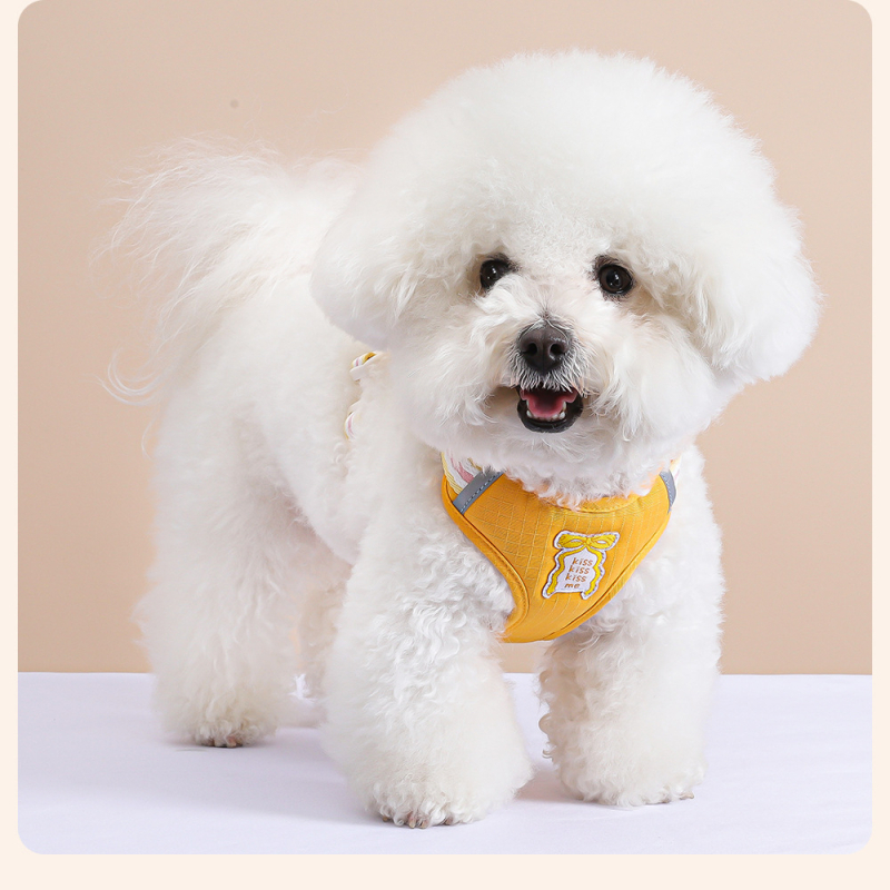 Nova šetnja za pse s mašnicom i vestom te vodilicom za Shiba Inu, Bichon i Toy Pudl