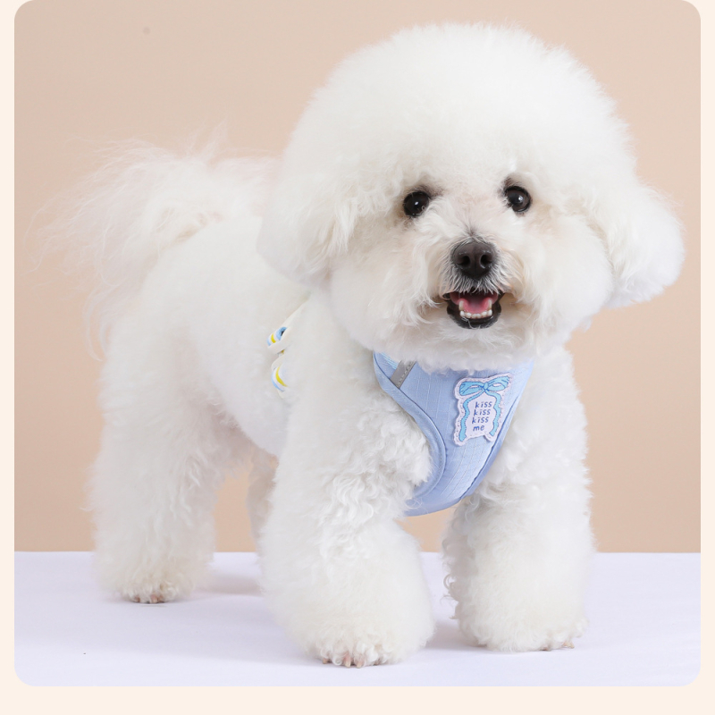 Nova šetnja za pse s mašnicom i vestom te vodilicom za Shiba Inu, Bichon i Toy Pudl