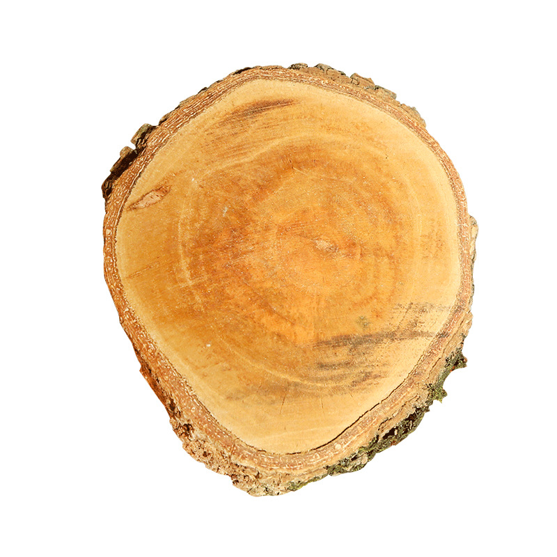 Prirodno Longan drvo za kornjače — platforma za sunčanje i driftwood dekor za akvarij