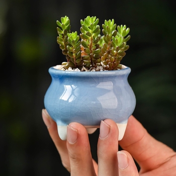 Ghiveci ceramic mic pentru suculente, cu picioare înalte, design simplu și creativ, decor pentru birou și balcon
