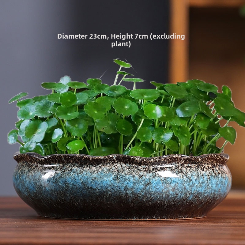 Ghiveci hidroponic pentru narcise, nuferi și lotus în bol; vas ceramic mare pentru planta banilor
