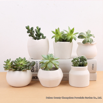 Ghiveci ceramic pentru suculente, în stil Nordic minimalist — neglazurat, respiră, absoarbe umezeala, ușor de colorat, finisaj rustic.