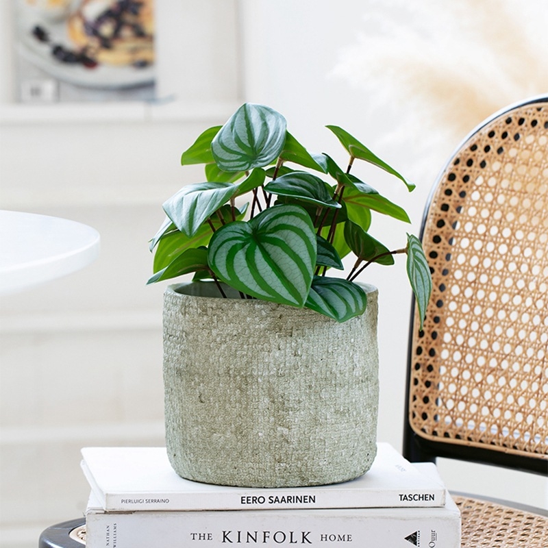 Ghiveci de ciment în stil nordic, minimalist și creativ, diametru mare, textură de in, pentru plante verzi, pothos și suculente