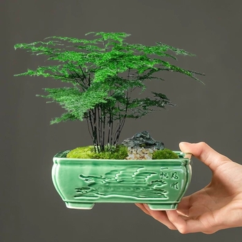 Ghiveci ceramic în stil chinezesc Ge Kiln pentru uz casnic, diametru mare, plante verzi, ghiveci de birou