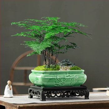 Ghiveci ceramic în stil chinezesc Ge Kiln pentru uz casnic, diametru mare, plante verzi, ghiveci de birou
