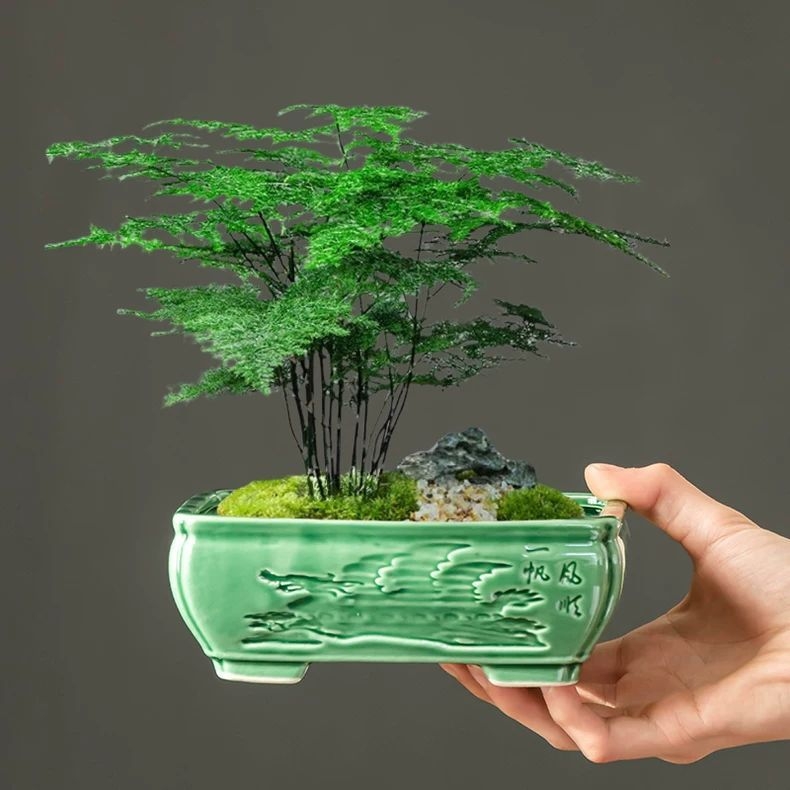 Ghiveci ceramic în stil chinezesc Ge Kiln pentru uz casnic, diametru mare, plante verzi, ghiveci de birou