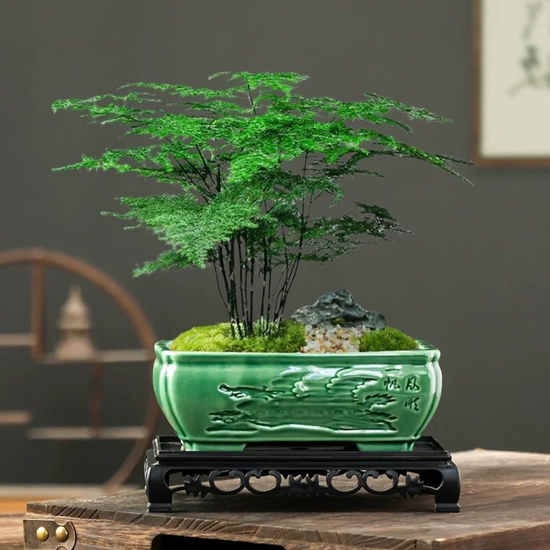 Ghiveci ceramic în stil chinezesc Ge Kiln pentru uz casnic, diametru mare, plante verzi, ghiveci de birou