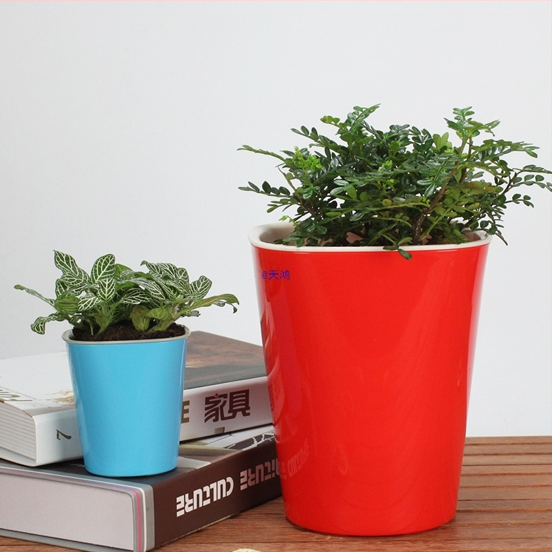 Ghiveci din rășină pentru hidroponie și cultură în sol, cu bazin de apă, pentru plante de interior și suculente, design simplu și creativ