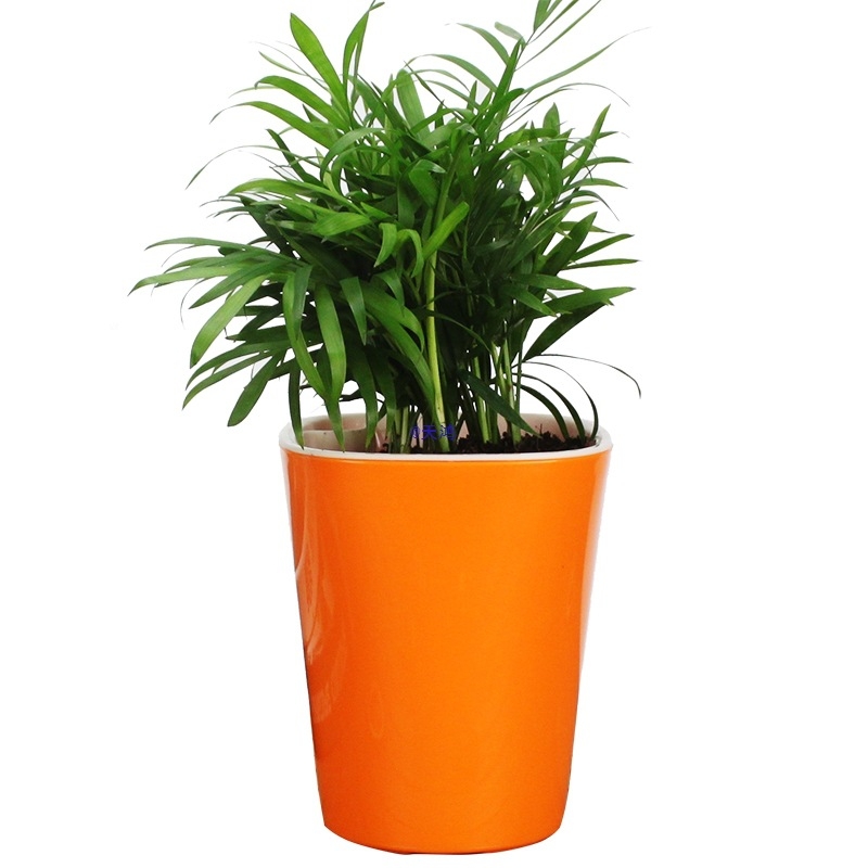 Ghiveci din rășină pentru hidroponie și cultură în sol, cu bazin de apă, pentru plante de interior și suculente, design simplu și creativ