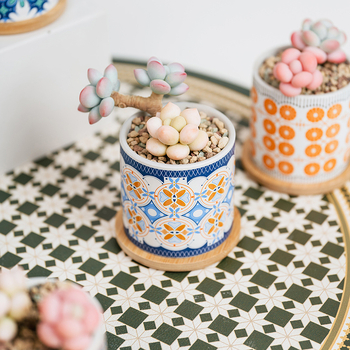 Ghiveci ceramic pentru suculente cu farfurie și decor cu decaluri, stil cadou pentru grădină