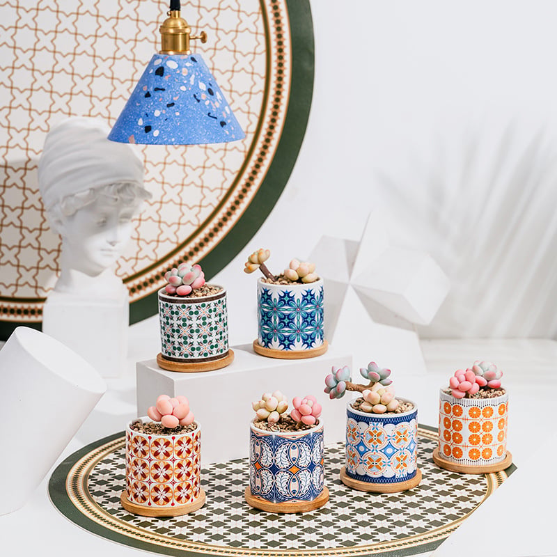 Ghiveci ceramic pentru suculente cu farfurie și decor cu decaluri, stil cadou pentru grădină