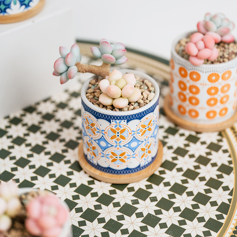 Ghiveci ceramic pentru suculente cu farfurie și decor cu decaluri, stil cadou pentru grădină