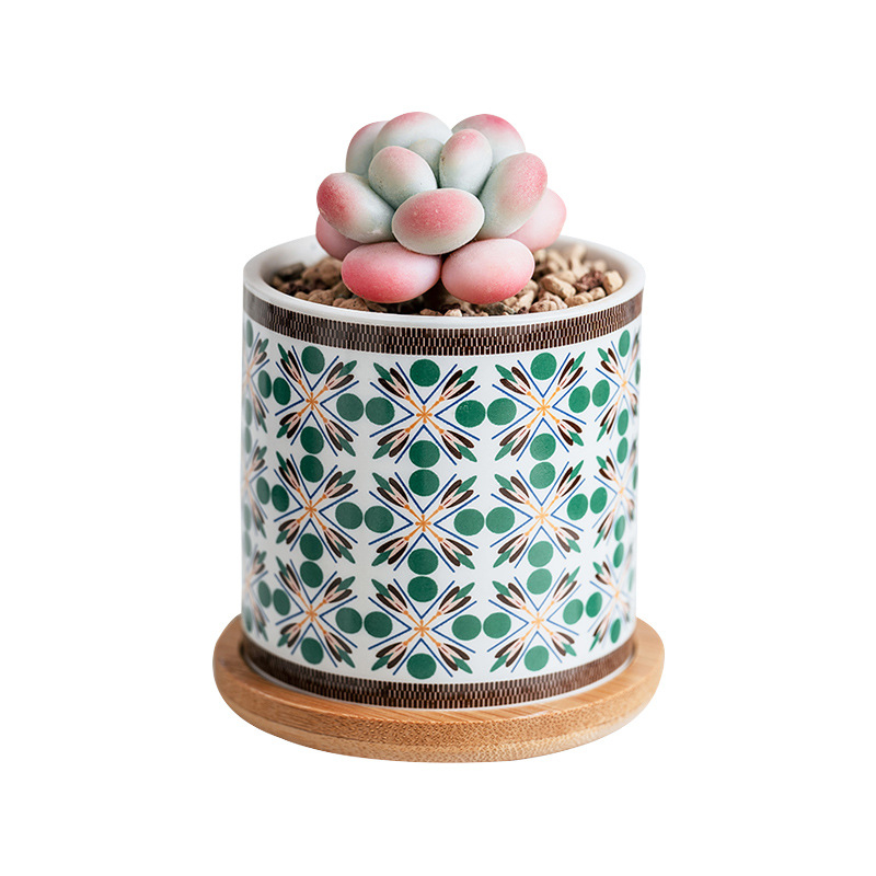 Ghiveci ceramic pentru suculente cu farfurie și decor cu decaluri, stil cadou pentru grădină