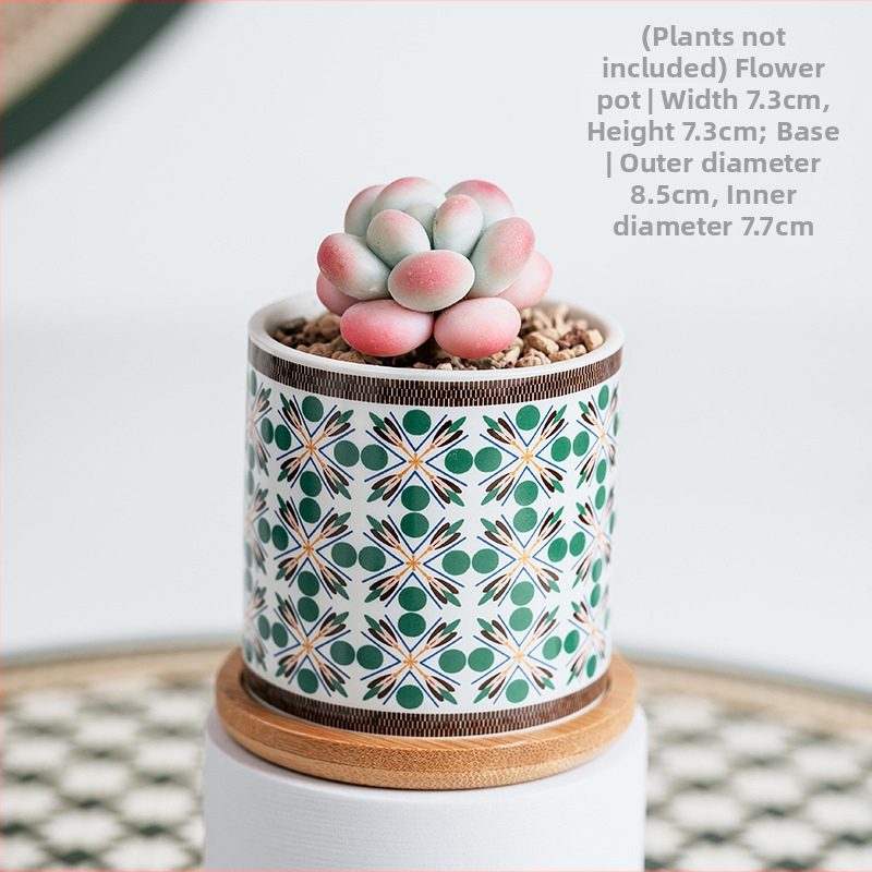Ghiveci ceramic pentru suculente cu farfurie și decor cu decaluri, stil cadou pentru grădină