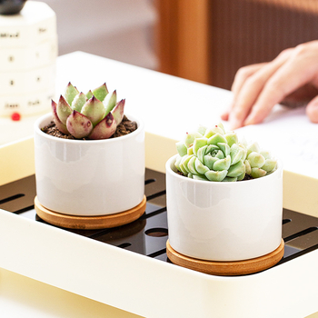 Ghiveci alb din porțelan pentru suculente, ceramic, design minimalist pentru grădinărit modern acasă