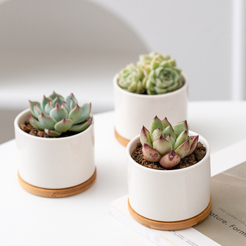 Ghiveci alb din porțelan pentru suculente, ceramic, design minimalist pentru grădinărit modern acasă