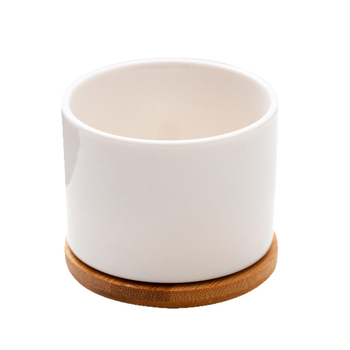 Ghiveci alb din porțelan pentru suculente, ceramic, design minimalist pentru grădinărit modern acasă