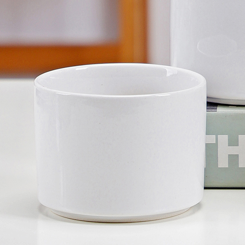 Ghiveci alb din porțelan pentru suculente, ceramic, design minimalist pentru grădinărit modern acasă