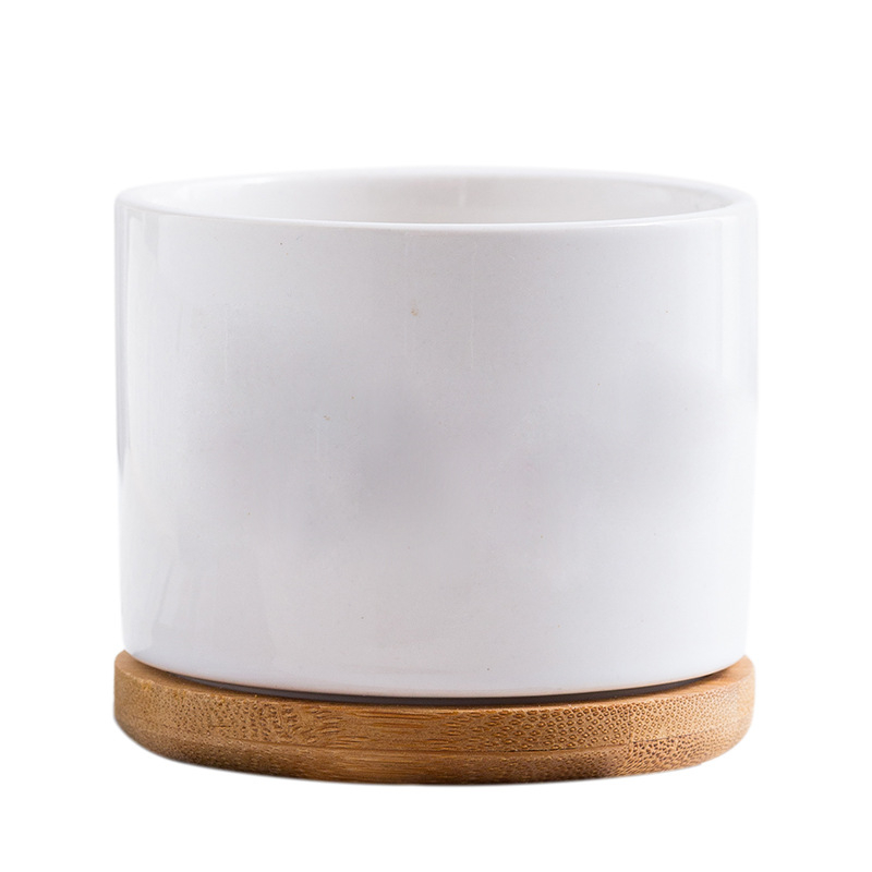 Ghiveci alb din porțelan pentru suculente, ceramic, design minimalist pentru grădinărit modern acasă