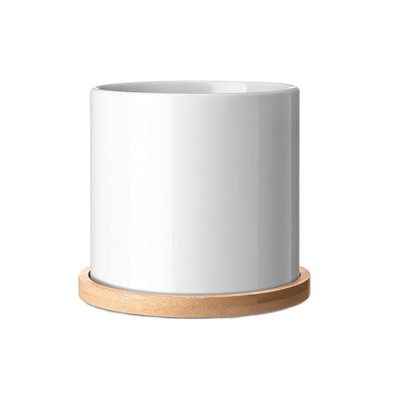 Ghiveci alb din porțelan pentru suculente, ceramic, design minimalist pentru grădinărit modern acasă