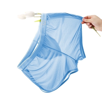 Muške bokserice od Ice Silk, iznimno tanke, prozračne mrežaste